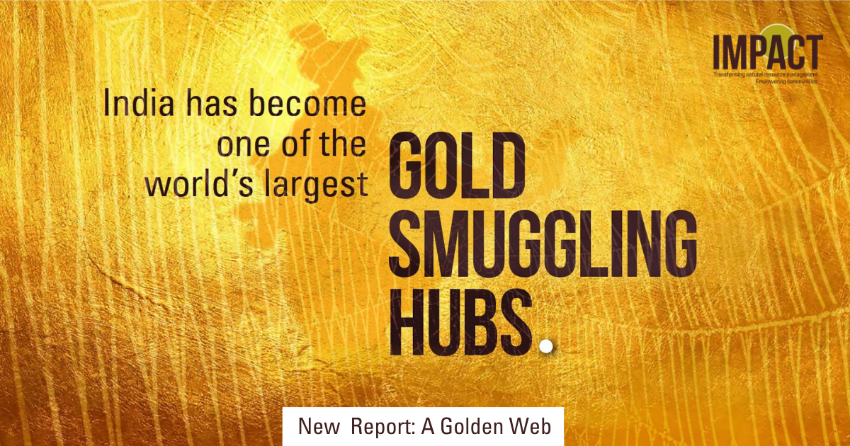 Gold price. Стопка монет. 1 gram gold. Result gold. Xros 1 золотой.