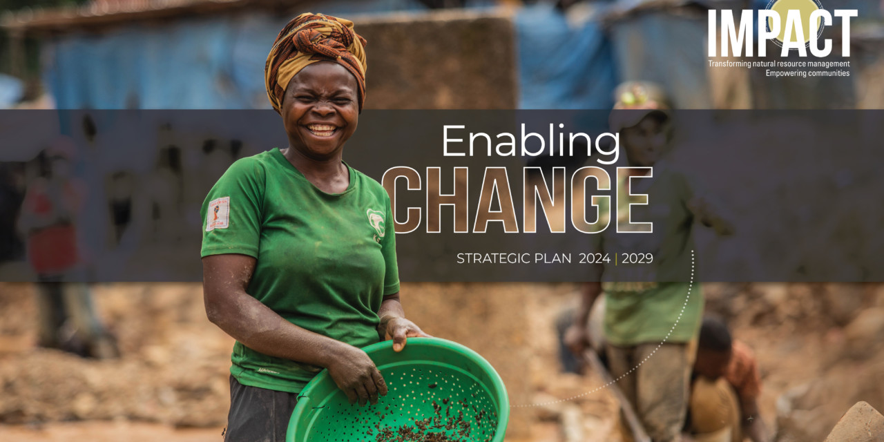 Introducing IMPACT’s New Strategic Plan 2024-2029: Enabling Change