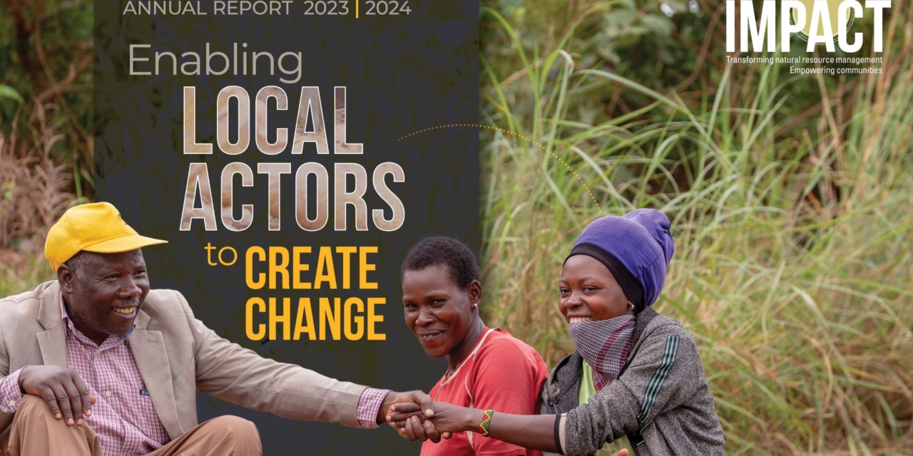 Enabling Local Actors: Our Work in 2023-2024