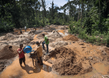 New Research Highlights How Climate Change and Biodiversity Loss is Affecting DRC’s Artisanal Mining Communities