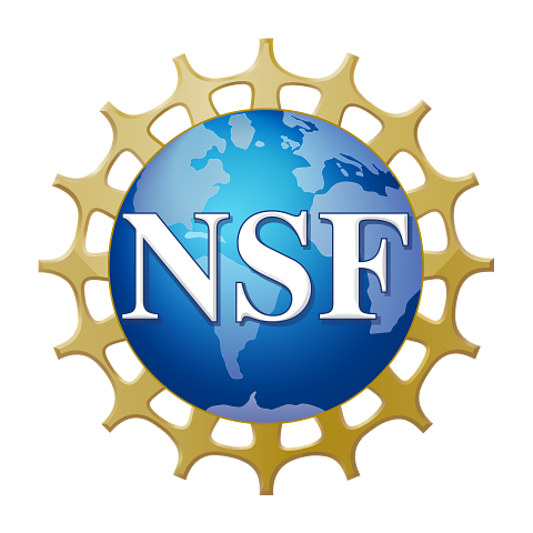 NSF_Official_logo_High_Res_1200ppi-1.png